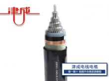 铝合金电缆ZR-YJLHV